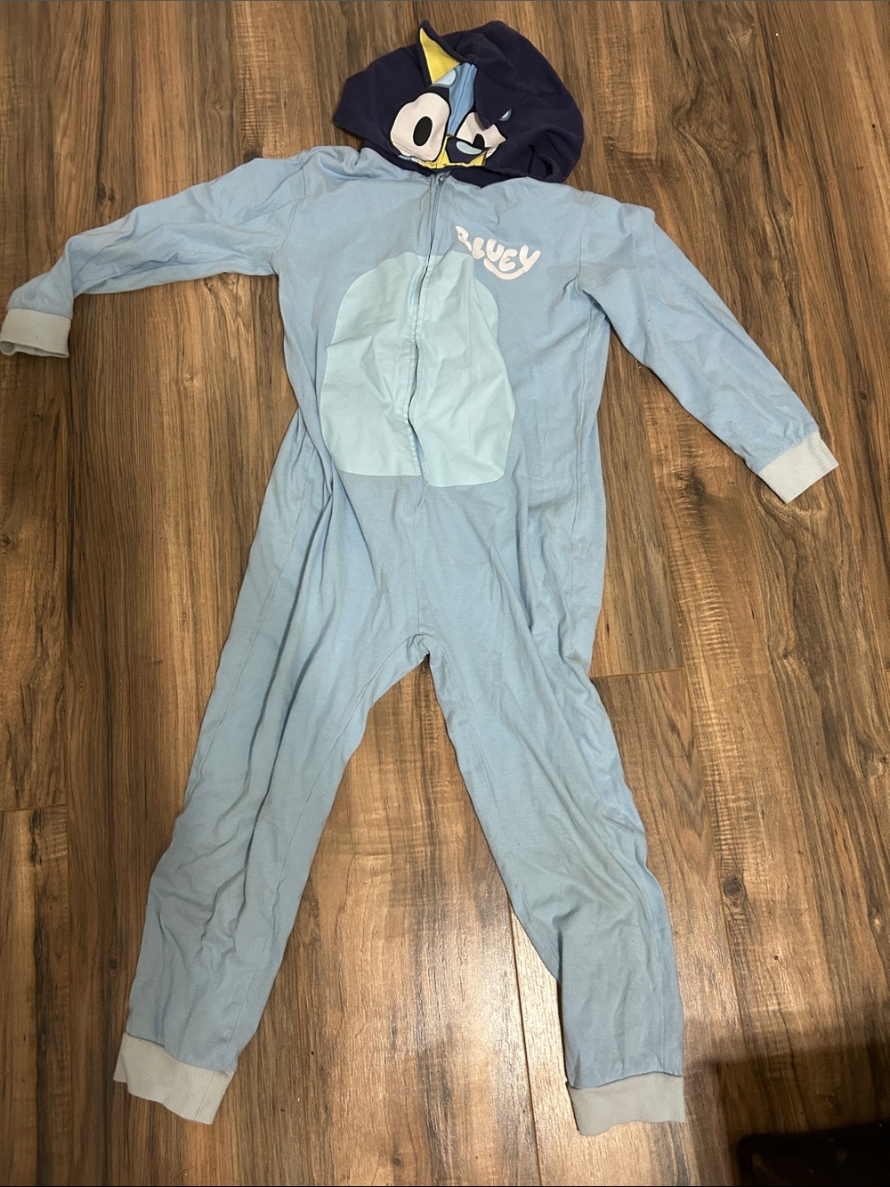 Light Blue Character Hooded Kids One-Piece Footie Pajamas